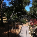 莫尼特的拱形 – 令人惊讶的玫瑰篱架